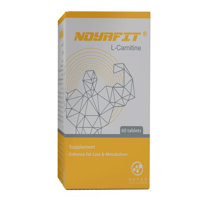 l-carnitine500-noyafit